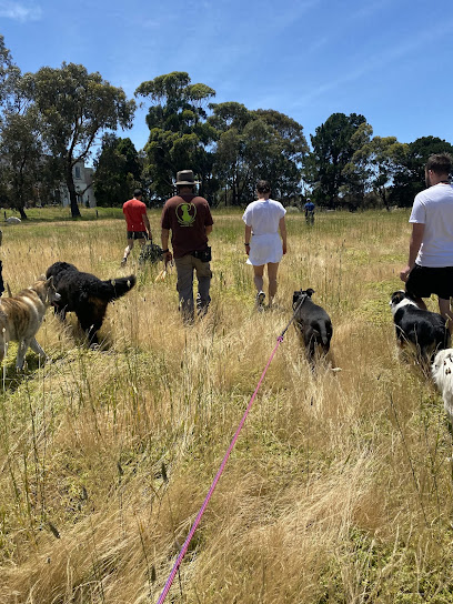 Jimmy’s Dog Training