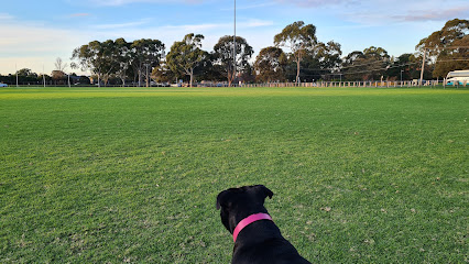 Moorabbin Obedience Dog Club