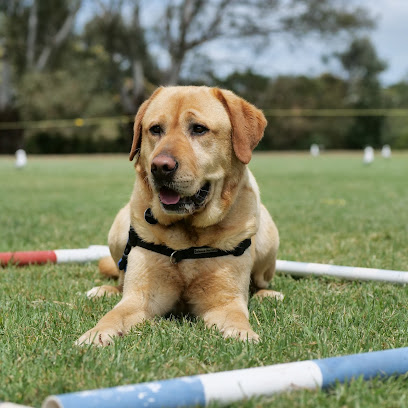 Mornington Obedience Dog Club Inc.