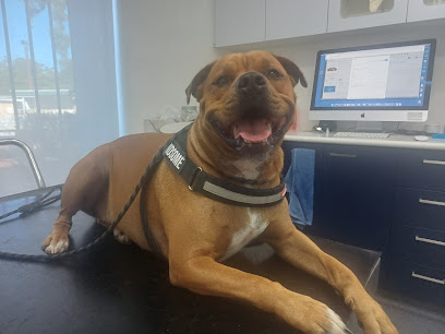 Bassendean Veterinary Hospital