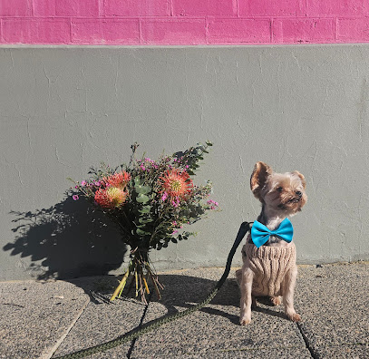 Happy Tails Dog Day Care
