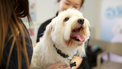 Templestowe Veterinary Clinic and Cattery