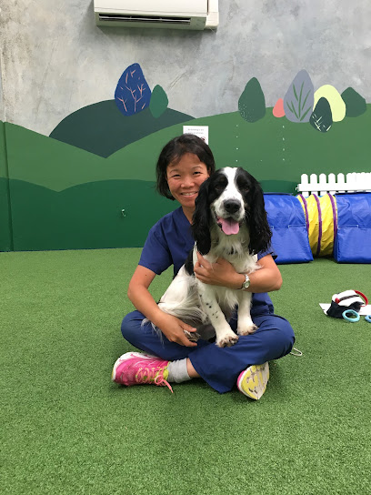 Physio for Pets