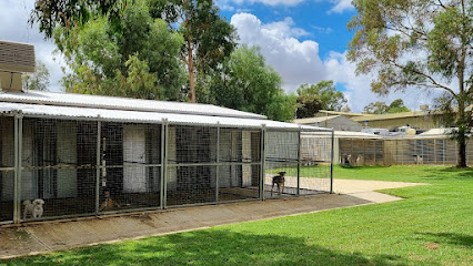 Golden Grove Boarding Kennels & Cattery
