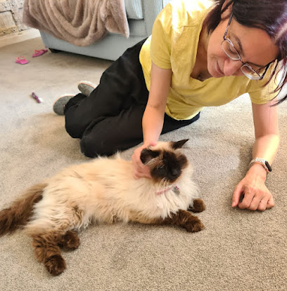 Steph’s Cat Caring