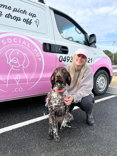 The Social Pup Co