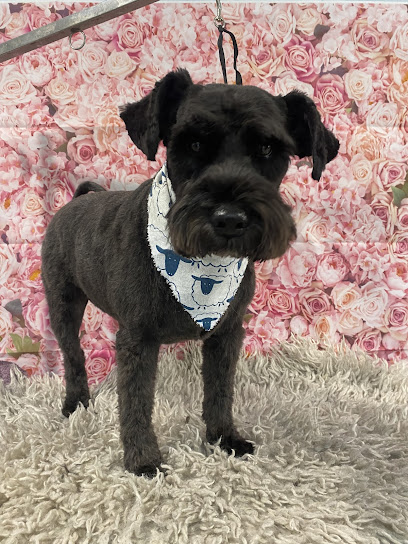 A Cute Canine Cut