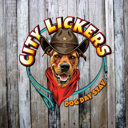 City Lickers Dog Day Stay – Doggy Day Care Perth