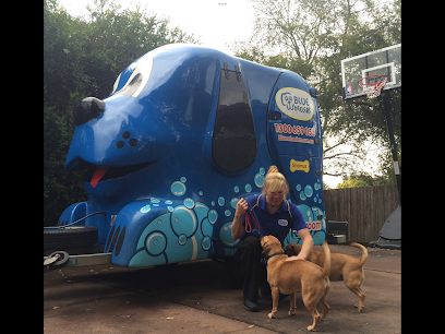 Blue Wheelers Lilydale