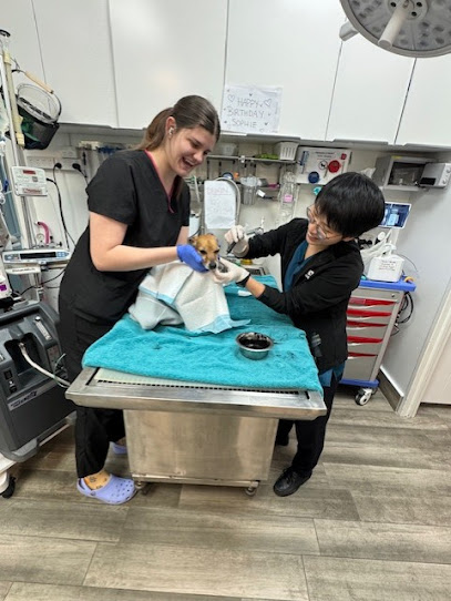 Hamilton Hill Vet Hospital