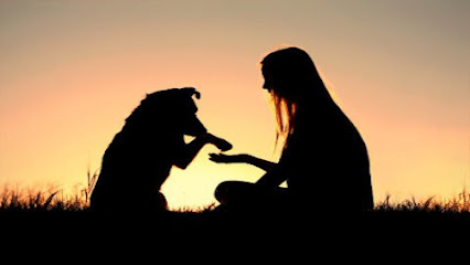 Wayville Animal Hospital – Pets and their People