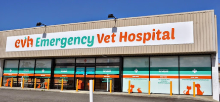 EVH Emergency Vet Hospital