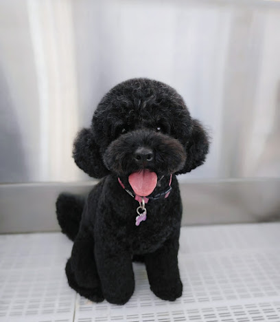 Kira & Co Dog Grooming