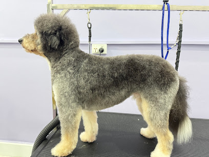 Furberry & Co. Pet Salon