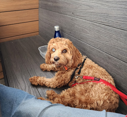 Midway Road Veterinary Clinic