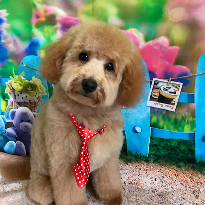 Peninsula Dog & Cat Groomery / BarkingMad Grooming