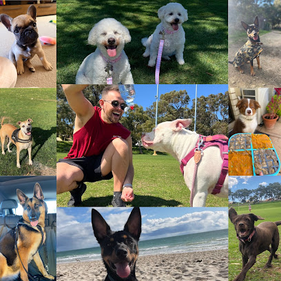 Dog Walks On The Wild Side
