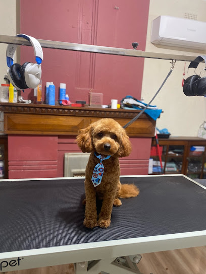 G7 pets grooming & boarding 寵物美容&寄宿