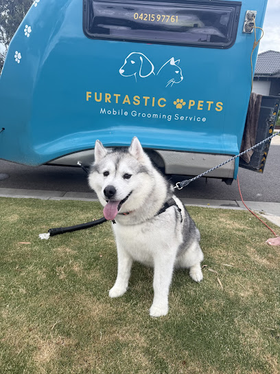 Furtastic Pets Mobile Grooming