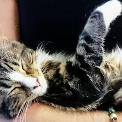 Party Animals Petcare