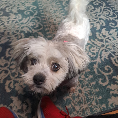 Paws & Claws Trim Salon