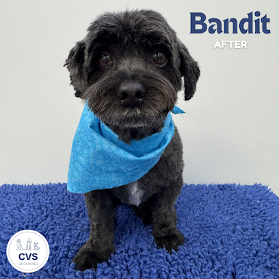 CVS Dog Grooming