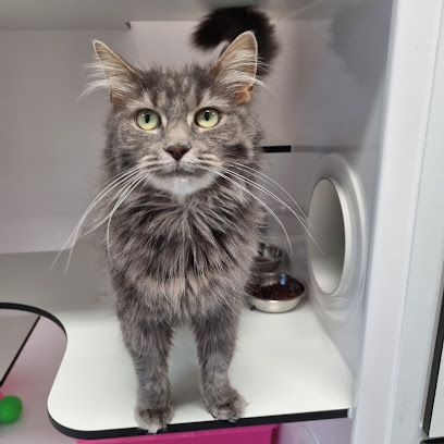 Cat Protection Society of Victoria Shelter & Vet Clinic