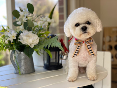 Mong Mong Dog Grooming