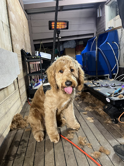 Sparkle and Shine Dog Grooming