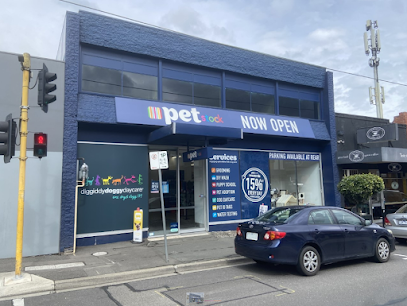 Petstock Camberwell