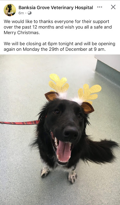Banksia Grove Veterinary Hospital