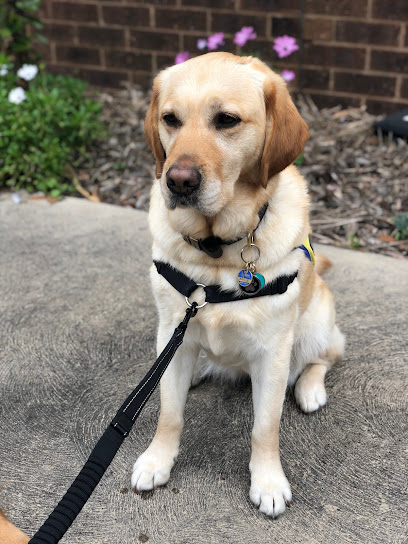 Greencross Vets Craigieburn