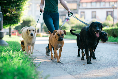 National Dog Trainers Federation