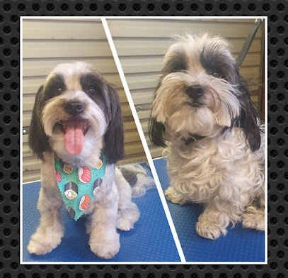 WINKY’S DOG GROOMING