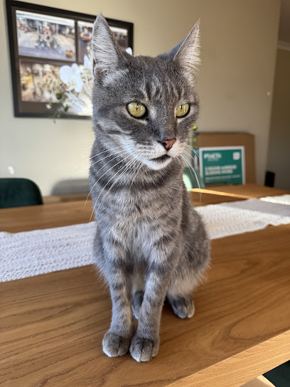 Pawsome Pet Club