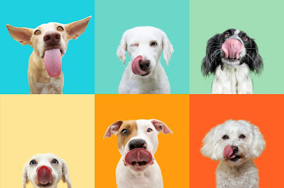Unleashed Doggie Daycare & Spa