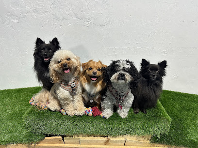 Bark Park
