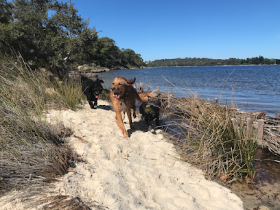 Borders Dog Walking Co.