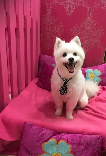 Doggy Beauty Parlour