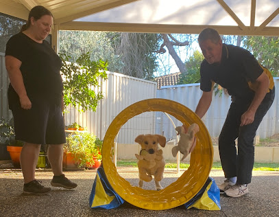 Manners ‘n’ More Companion Dog Training