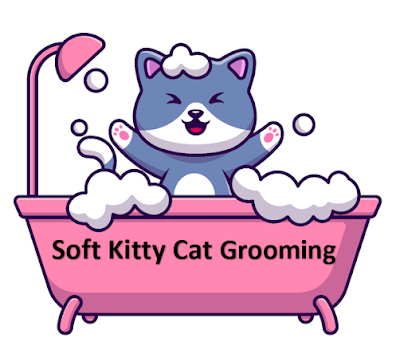 Soft Kitty Cat Grooming