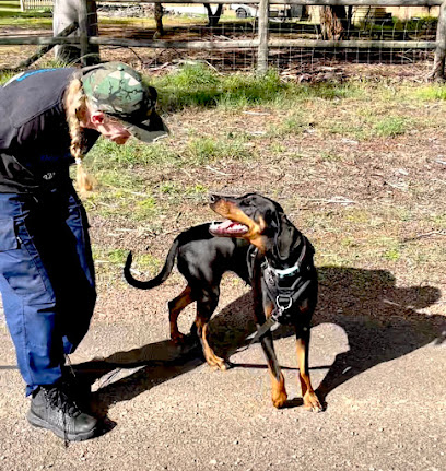 Dog Dialogue