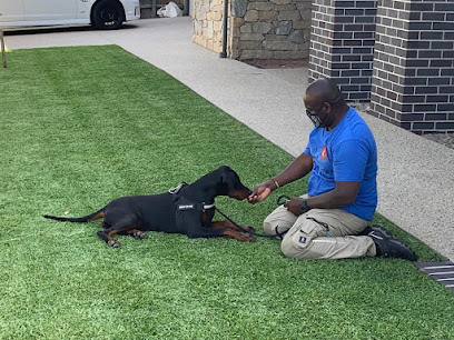 Elite K9 Work Dogs Australia