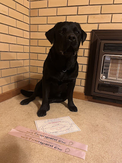 Northern Districts Kennel & Obedience Club