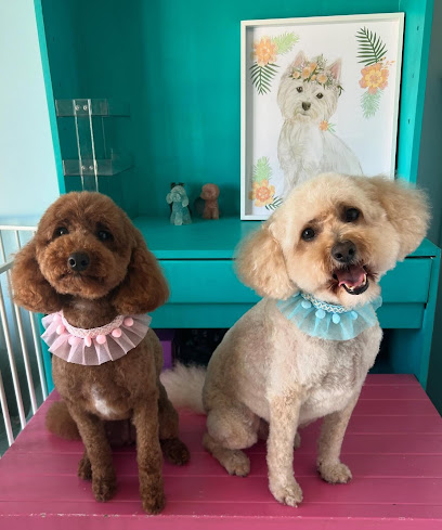 Pets Rule Grooming