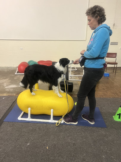 theraPETics Canine Massage & Mobility