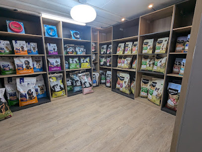 Loyal Friends | Dog Grooming | Cat Grooming Surrey Hills