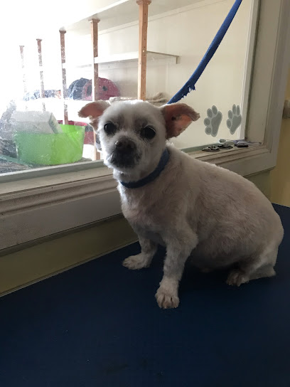 Transpawmers Dog Grooming & Boutique