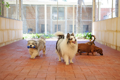 Julies Boarding Kennels and Cattery