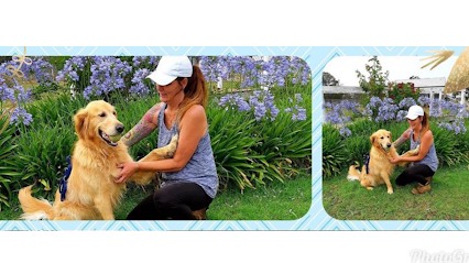 Anchorage Boarding Kennels & Cattery